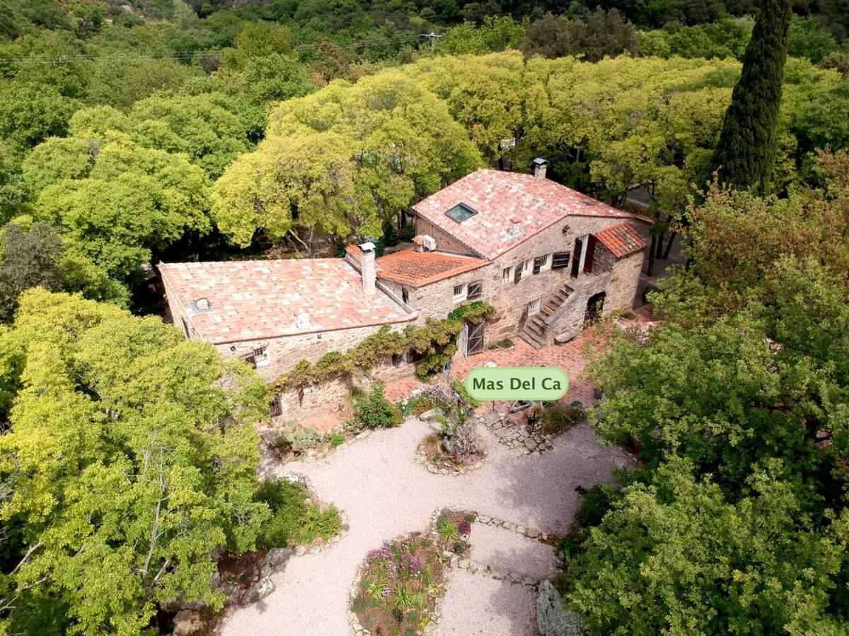 Mas Del Ca Adult Only Bed and Breakfast Sorède Exteriör bild