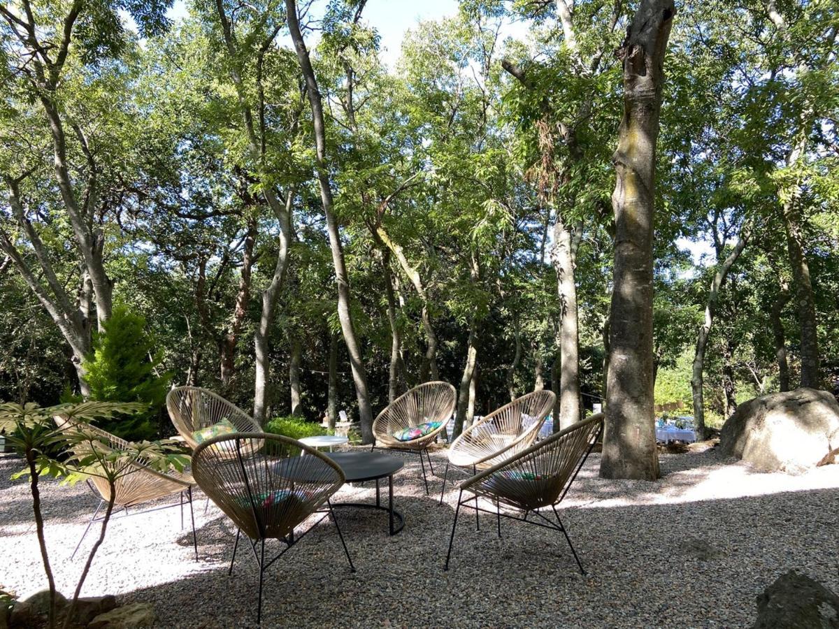 Mas Del Ca Adult Only Bed and Breakfast Sorède Exteriör bild