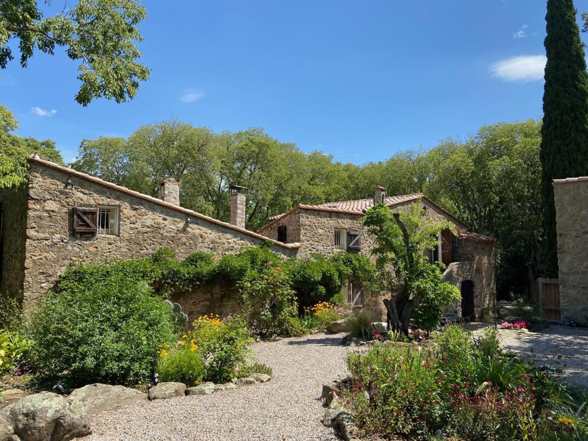 Mas Del Ca Adult Only Bed and Breakfast Sorède Exteriör bild