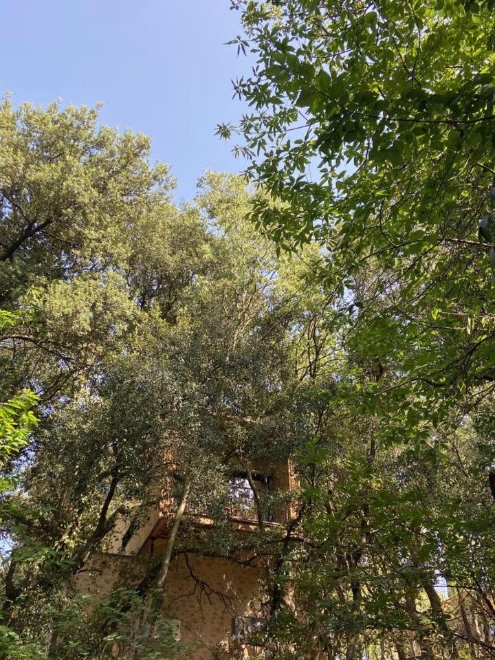 Mas Del Ca Adult Only Bed and Breakfast Sorède Exteriör bild
